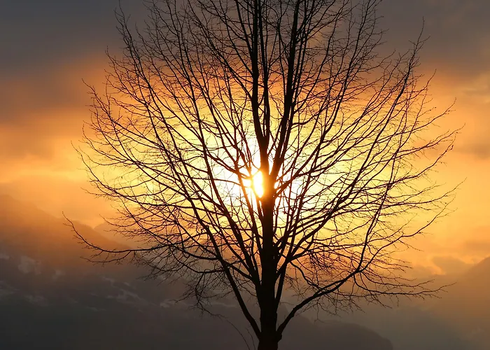 Seehof Superior Walenstadt