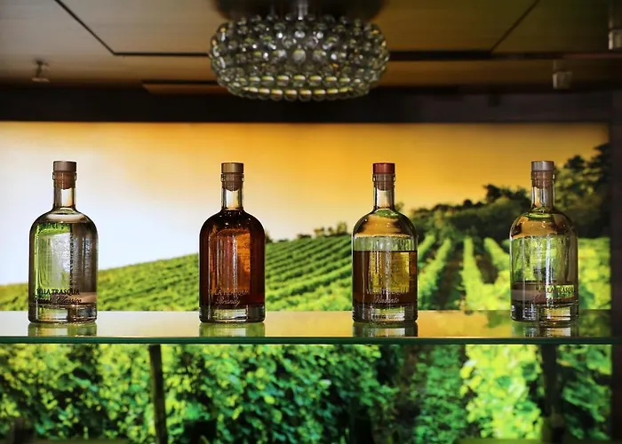 Hotel Seehof Superior Walenstadt