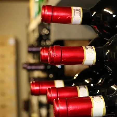 Hotel Seehof Superior