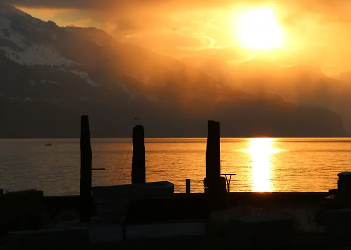 Otel Seehof Superior 3*