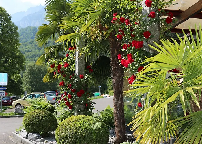 Seehof Superior Hotel 3*